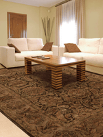 Jaipur JA30 Bordered Persian Brown Area Rug