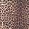 Leopard Swatch