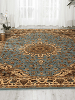 Nourison Delano Blue Persian Indoor Area Rug