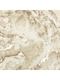 798019070076
